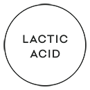 Phases Lactic Acid